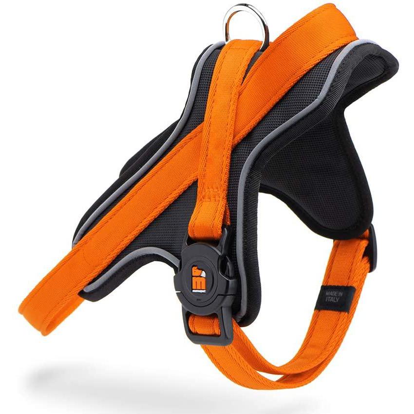 My Family - Pettorina in Poliestere Da 30 a 35 cm - Collezione Memopet My Family - Pettorina in Poliestere Da 30 a 35 cm - Collezione Memopet
